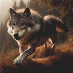 Running Wolf (image for) Running Wolf